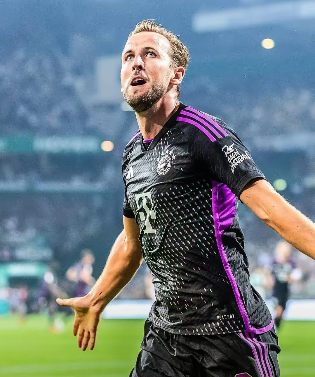 体育平台APP-关于波尔图险胜曼联，凯恩梅开二度足总杯的信息