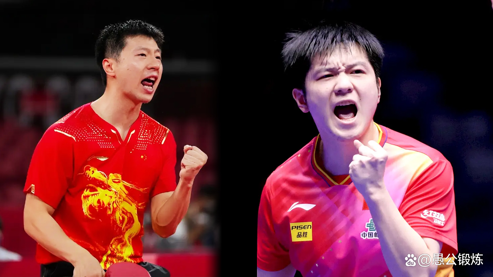 -中国乒乓球队力克波兰乒乓球队，马龙绝境逆转的简单介绍