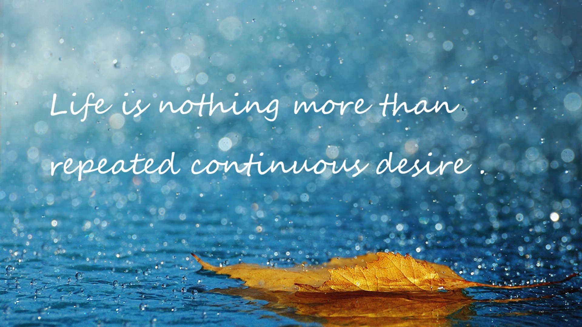 当辽宁蓝衫撞上芝加哥红，伦纳德的惊雷之夜