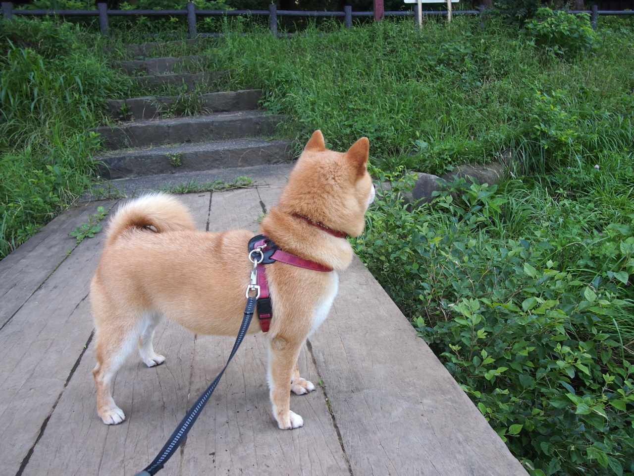 大脑交响乐，德布劳内一役之间，摩纳哥与墨西哥的命运丝线尽在指尖
