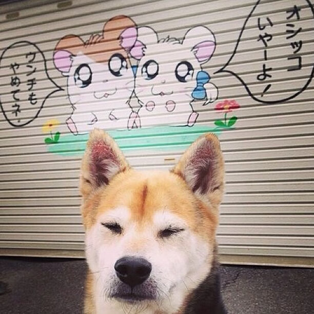 -当字母哥的灵魂附入马刺战袍，一场爆冷背后的唯一性救赎