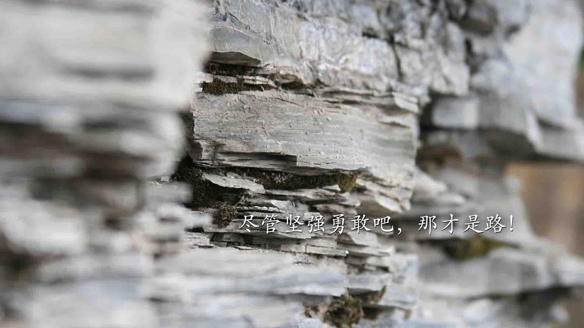 穿越防守的钢琴师，当山西猛龙遭遇霍勒迪的无聊艺术